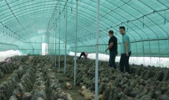 駐馬店市質檢中心開展2017年農產品質量安全第三次例行監測工作