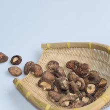 其他新鮮農產品市場概況 批發、價格與廠家分析